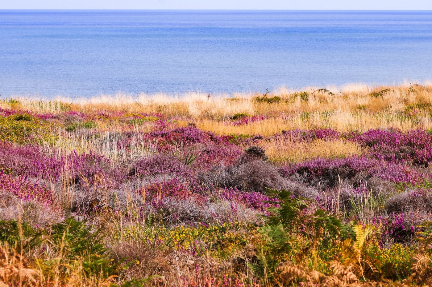 Dunwich